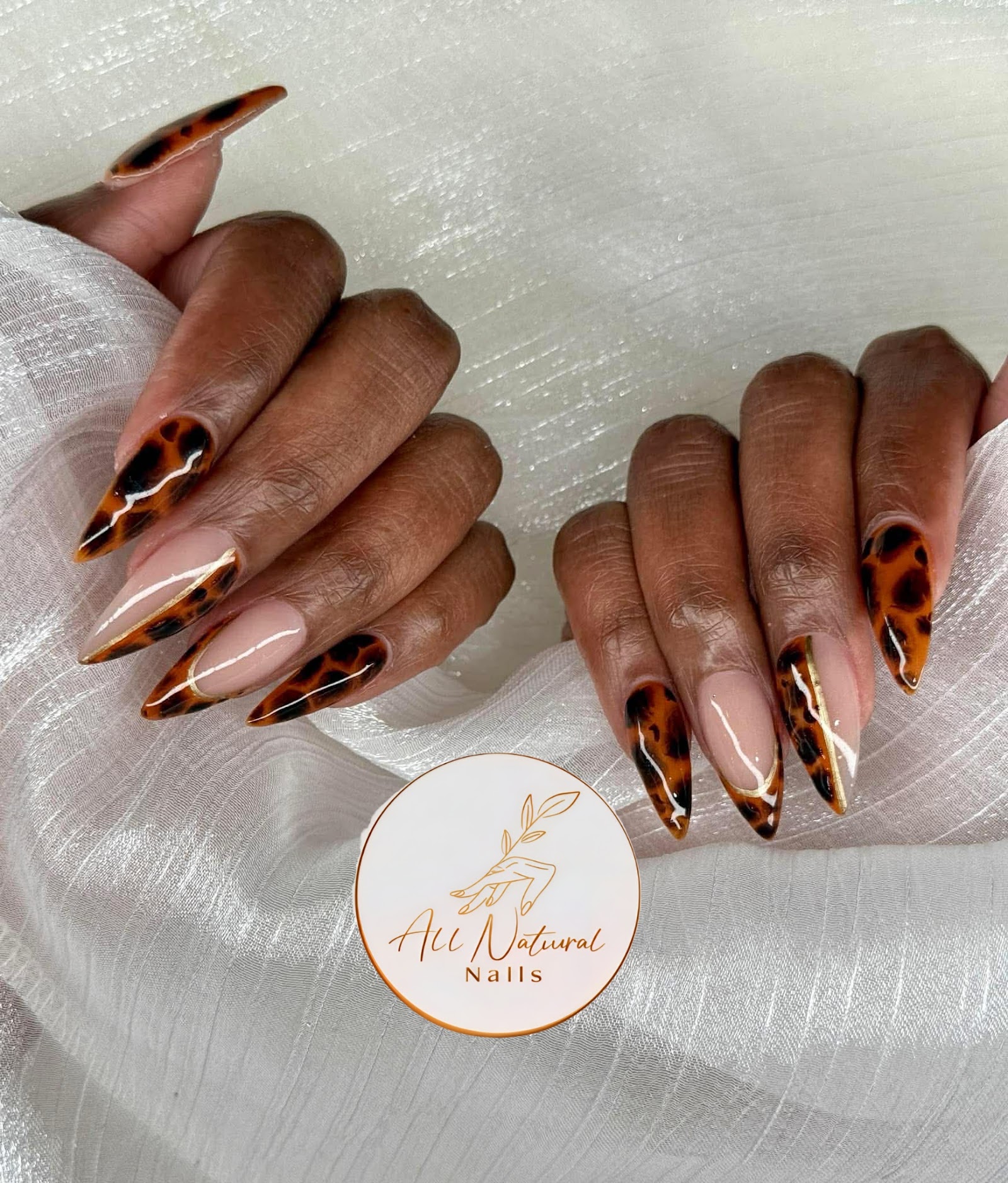All Natural Nails logo